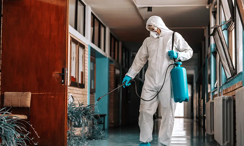 Pest Control Services